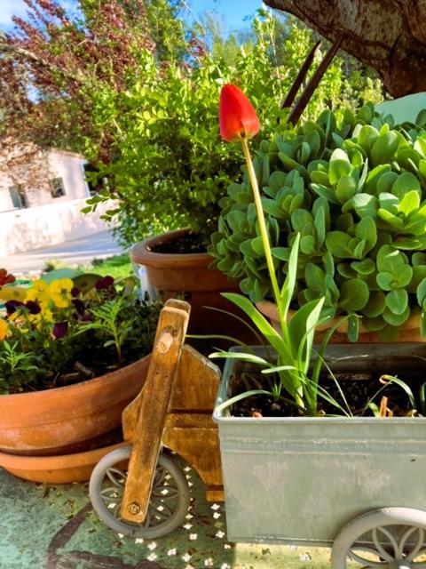 Suite familiale de charme en Provence Mirabeau  Exterior foto